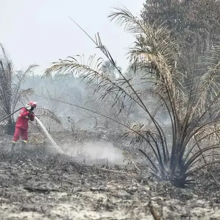 Gapki Perkuat Mitigasi Karhutla Melalui Peningkatan Kesiapan Perusahaan