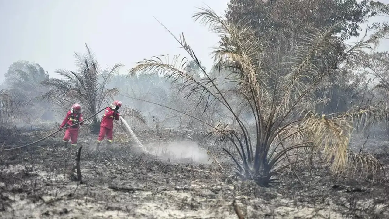 Gapki Perkuat Mitigasi Karhutla Melalui Peningkatan Kesiapan Perusahaan