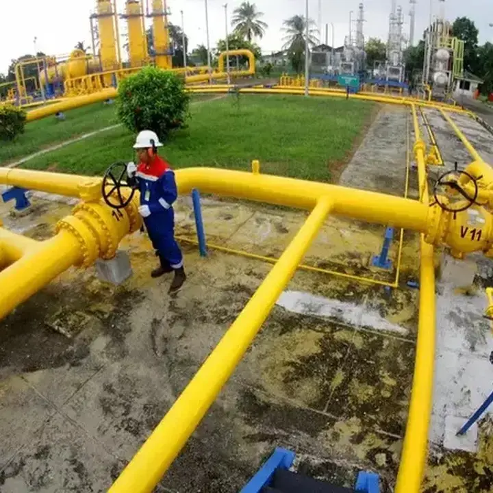 Gas Bumi: Lebih dari Sekadar Komoditas, Penggerak Ekonomi Nasional