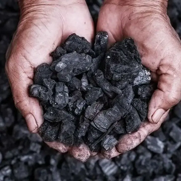 Harga Batu Bara Global Anjlok, India Tingkatkan Pengiriman untuk Pembangkit Listrik