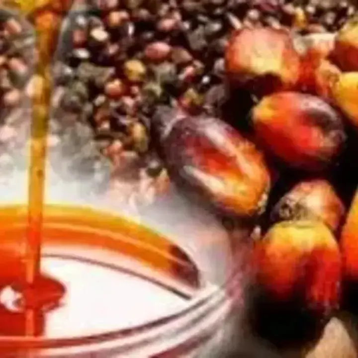 Harga CPO Malaysia Melemah Akibat Profit Taking, El Nino Tahan Penurunan