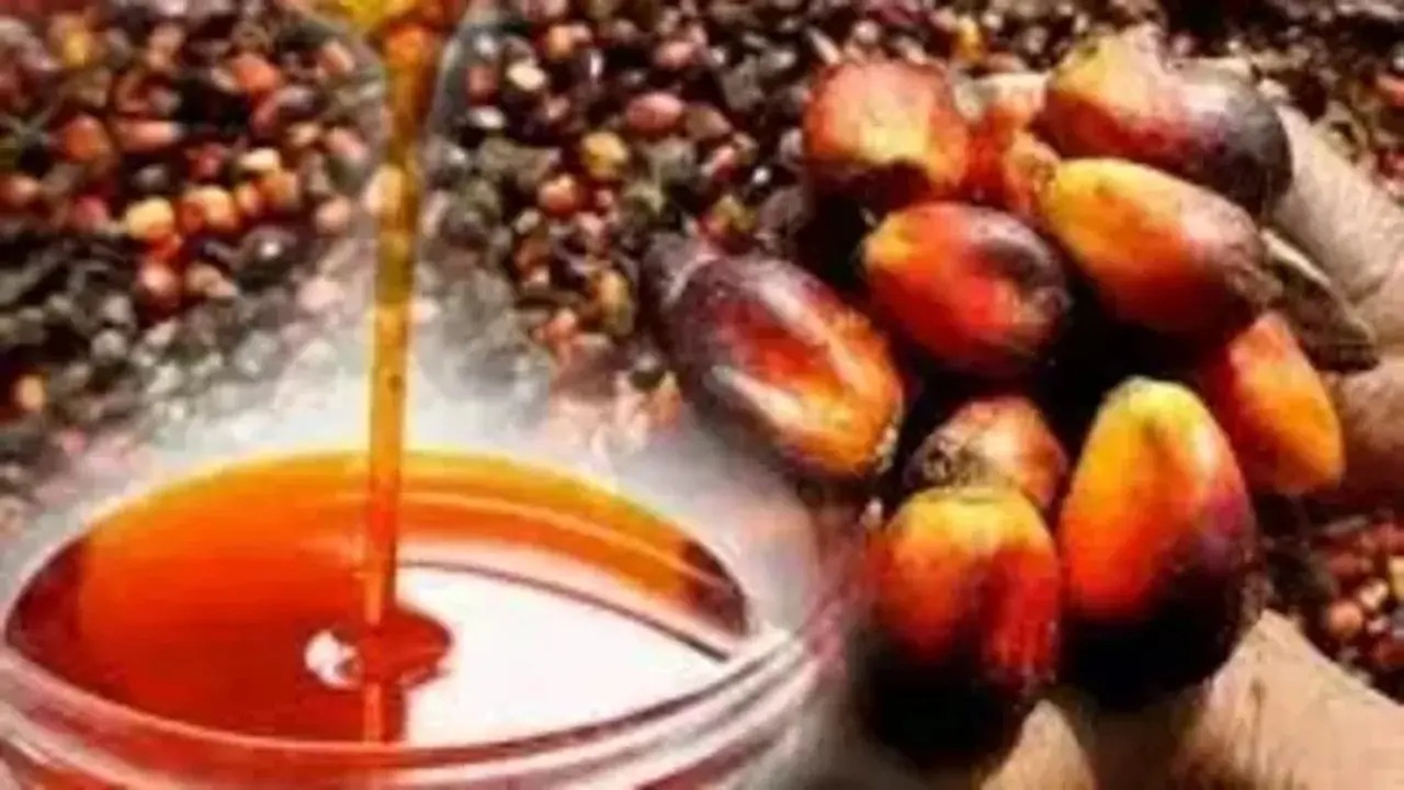 Harga CPO Malaysia Melemah Akibat Profit Taking, El Nino Tahan Penurunan