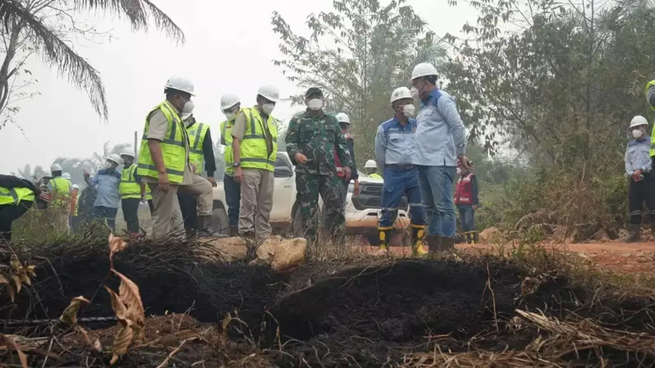 Inalum dan MIND ID Perkuat Mitigasi Karhutla di Kalimantan Barat