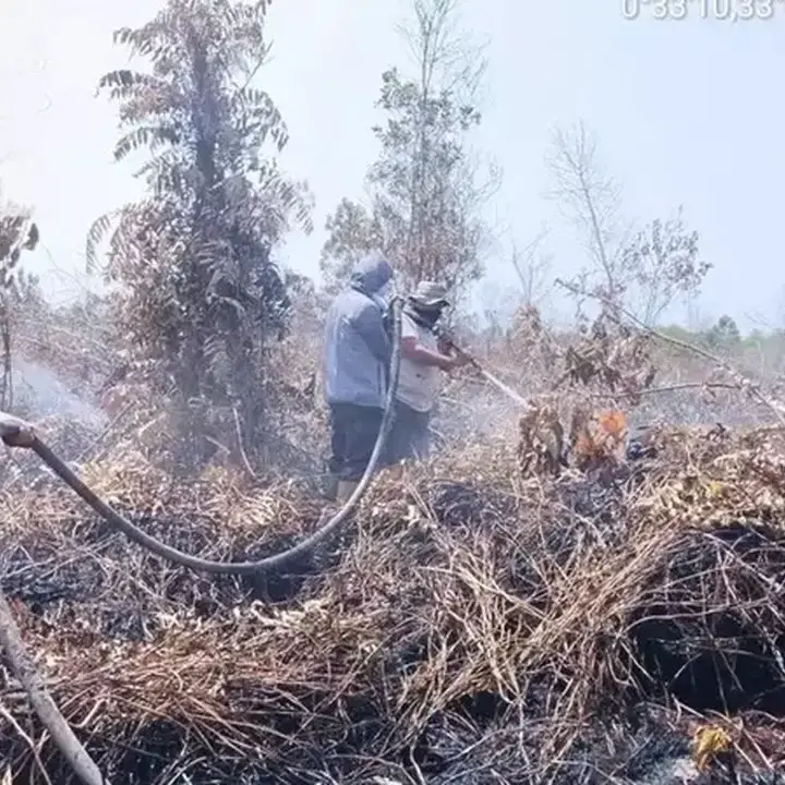 Indonesia Siapkan Kapal Induk Modifikasi untuk Dukung Operasi Helikopter dan Drone Bencana
