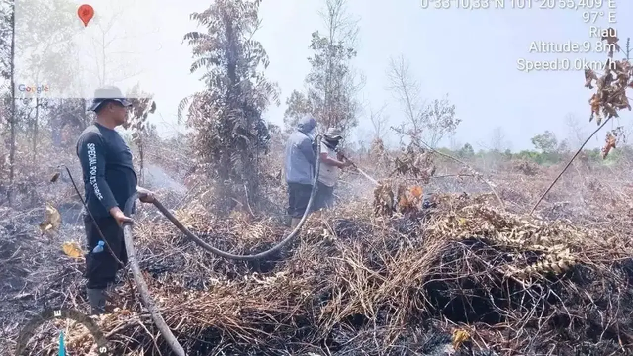 Indonesia Siapkan Kapal Induk Modifikasi untuk Dukung Operasi Helikopter dan Drone Bencana