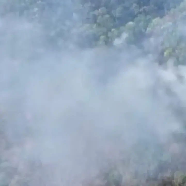 Karhutla Landa Gunung Ciremai, Asap Pekat Kepulangi Hutan