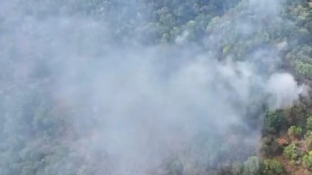 Karhutla Landa Gunung Ciremai, Asap Pekat Kepulangi Hutan