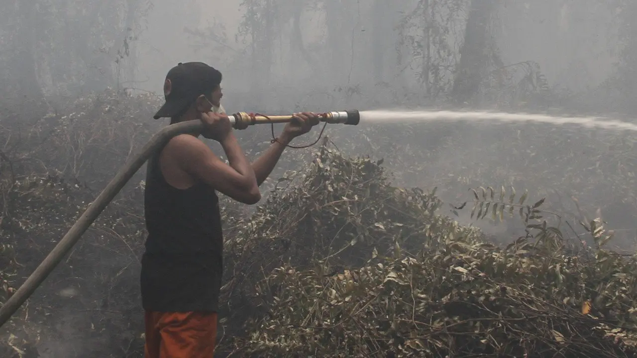 Karhutla Melanda 6 Provinsi, Kemenkes Laporkan 4 Korban Meninggal dan 347 Luka