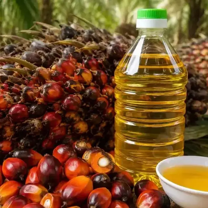Kebakaran Hutan Indonesia Dorong Harga CPO Dekati Rekor Tertinggi