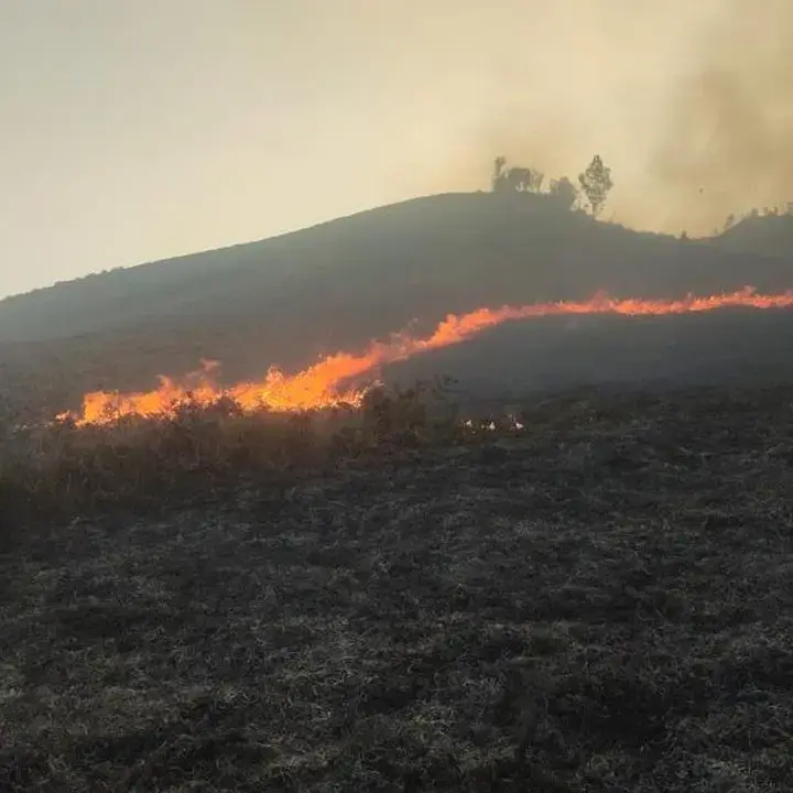 Kebakaran Sabana Bromo Dekat Bukit Teletubbies, Akses Jemplang Ditutup