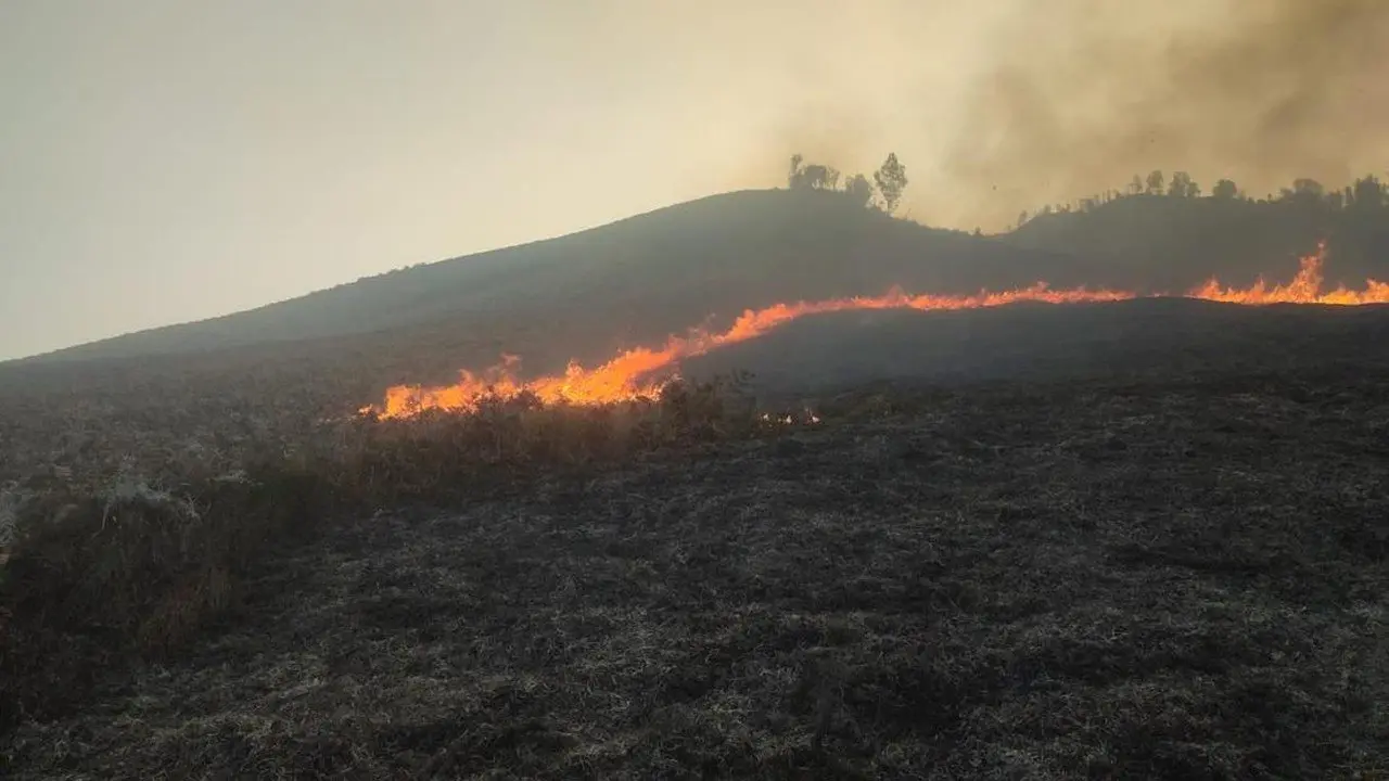 Kebakaran Sabana Bromo Dekat Bukit Teletubbies, Akses Jemplang Ditutup
