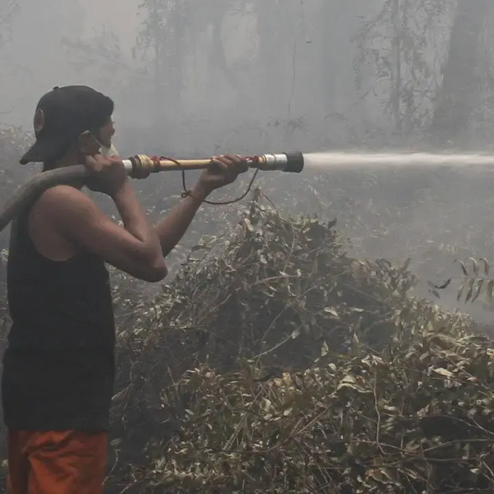 Korban Karhutla Meluas: 4 Tewas, 347 Terluka di 6 Provinsi