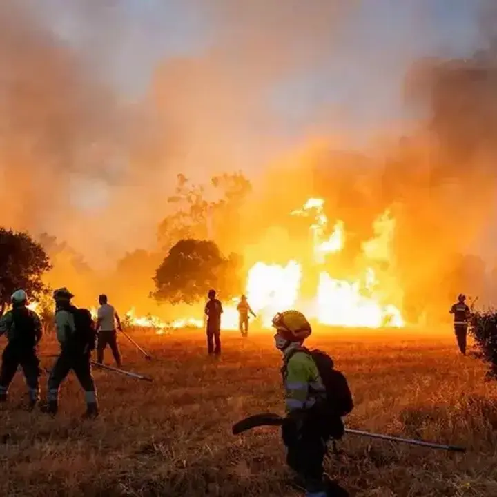 Kualitas Udara Terancam, WMO Soroti Bahaya Gelombang Panas dan Karhutla
