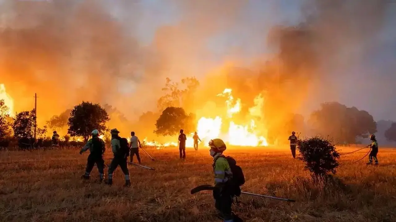 Kualitas Udara Terancam, WMO Soroti Bahaya Gelombang Panas dan Karhutla