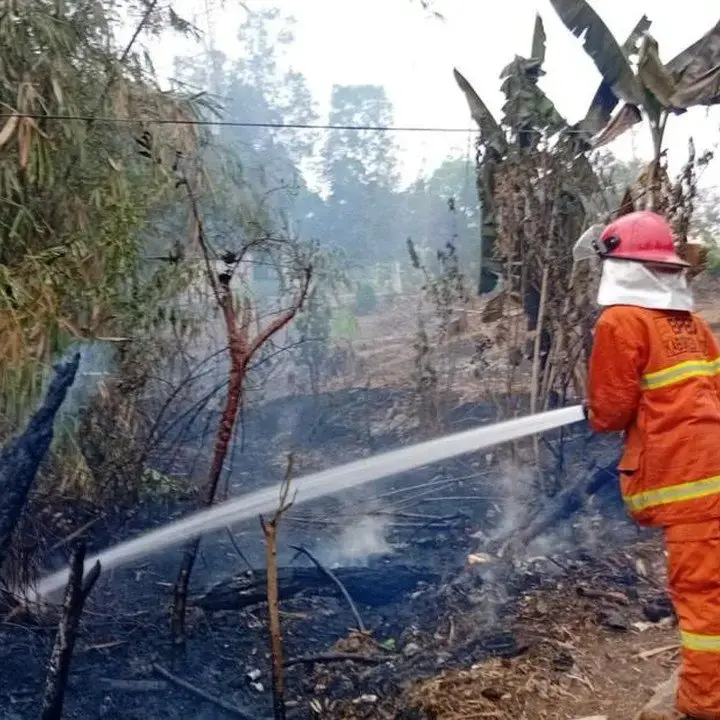 Lahan Bambu di Tenjo Bogor Terbakar Akibat Pembakaran Sampah