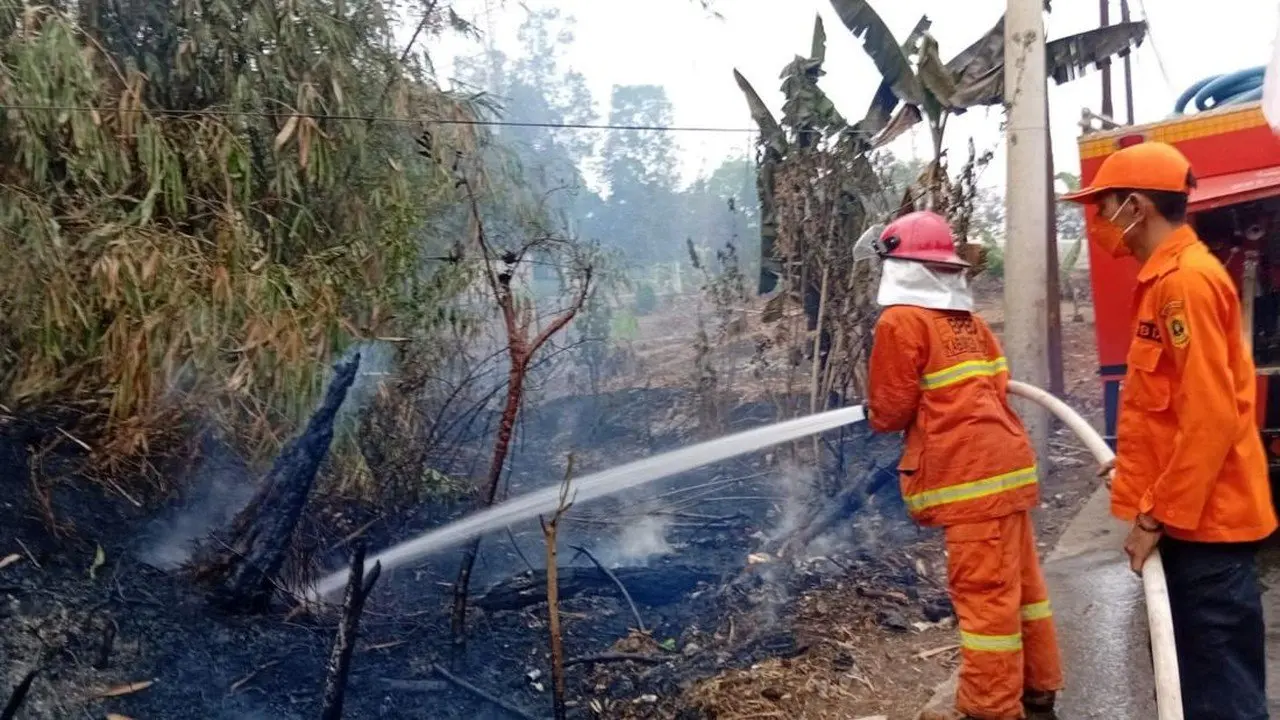 Lahan Bambu di Tenjo Bogor Terbakar Akibat Pembakaran Sampah