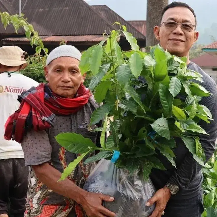 Pemulihan Ekonomi Tapsel Fokus pada Kopi dan Perikanan Pascabencana