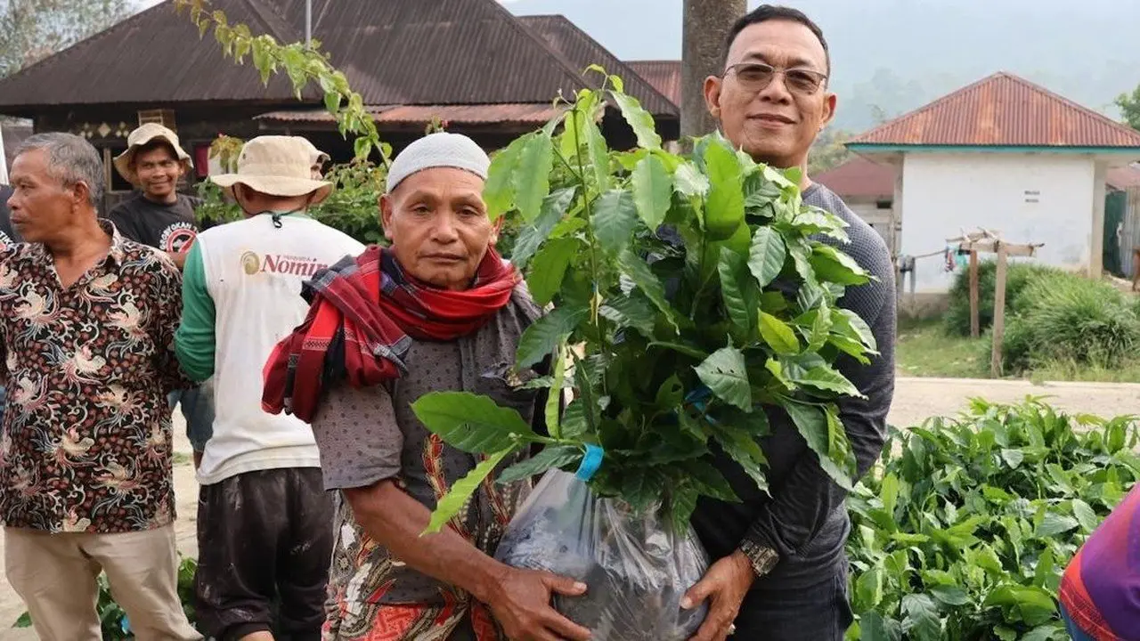 Pemulihan Ekonomi Tapsel Fokus pada Kopi dan Perikanan Pascabencana