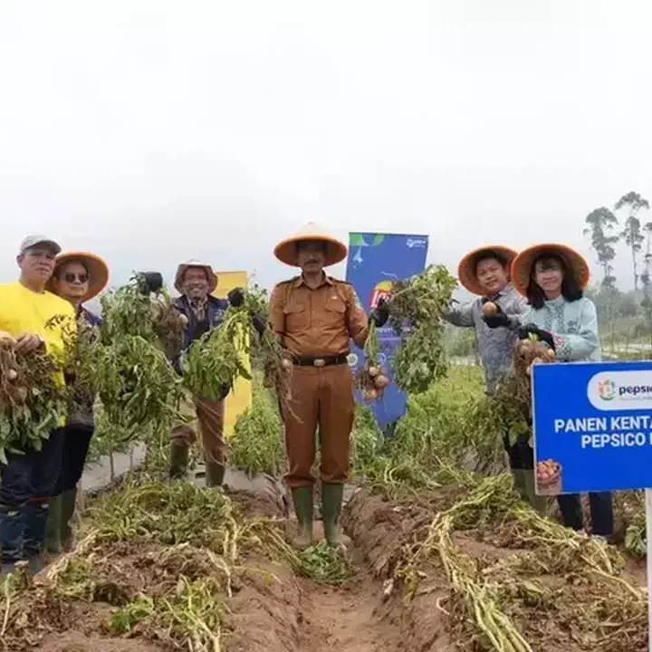 PepsiCo Indonesia Tingkatkan Kapasitas Petani Kentang Lokal di Garut