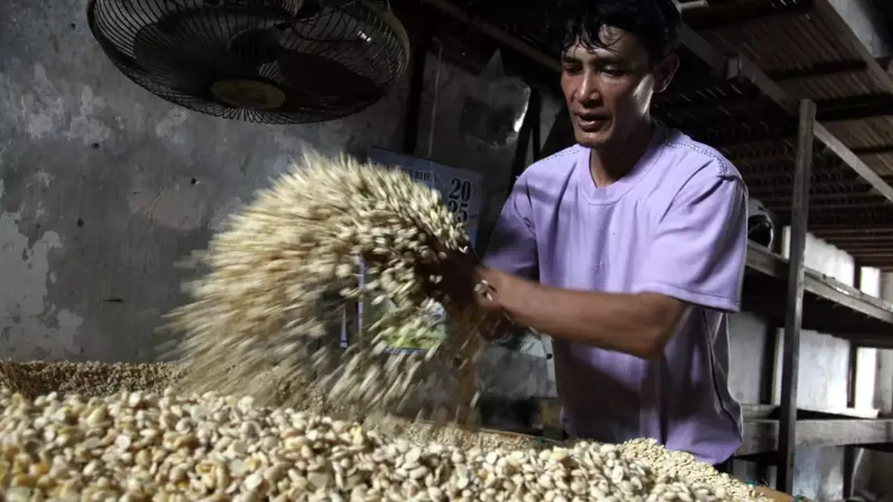Perkuat Hilirisasi Riset Pangan: Dari Biodiversitas Lokal Menjadi Produk Bernilai Ekonomi