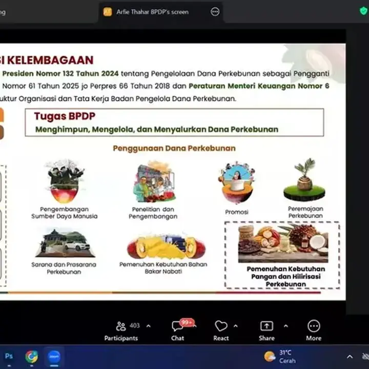 Revitalisasi 247 Ribu Hektare Kebun Kakao untuk Dongkrak Produksi dan Hilirisasi