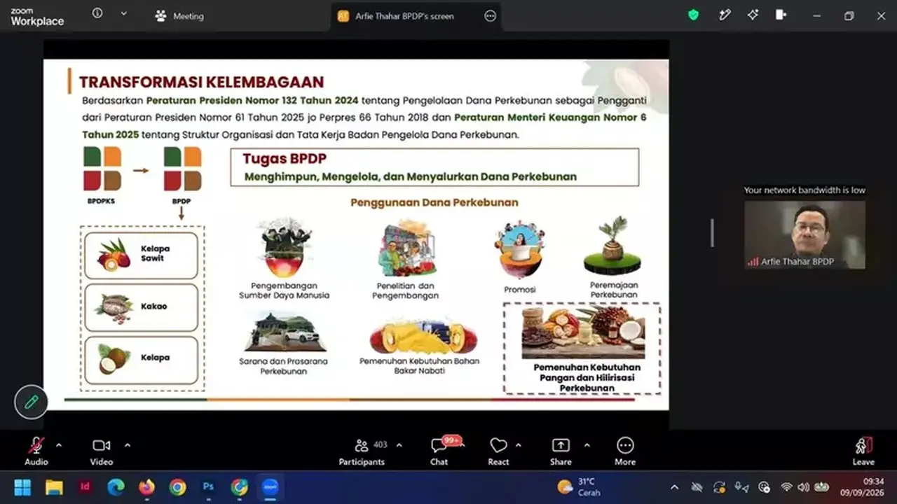 Revitalisasi 247 Ribu Hektare Kebun Kakao untuk Dongkrak Produksi dan Hilirisasi