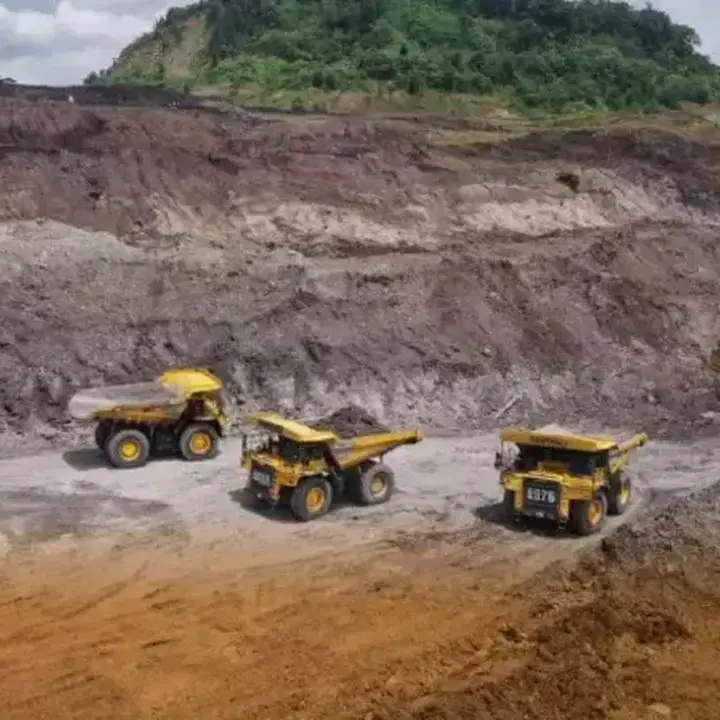 Saham PTBA Melonjak di Tengah Aktivitas Borong Asing dan Kinerja Keuangan Positif