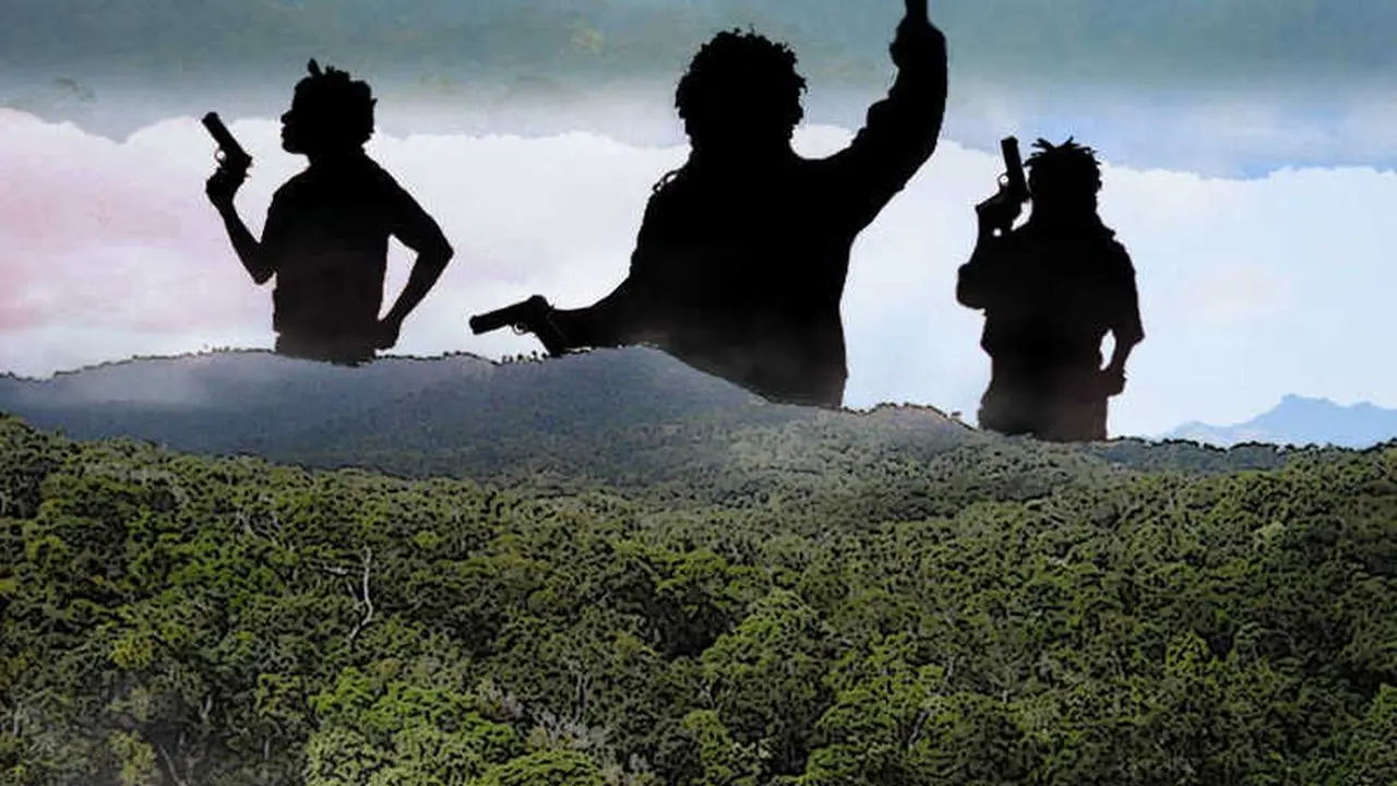 Tiga ASN Tewas Ditembak KKB di Papua, Jenazah Dibawa Pulang