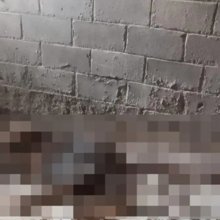 Tragedi Banyuasin: Dua Kakak-Adik Ditemukan Jadi Kerangka Setelah 5 Tahun Hilang