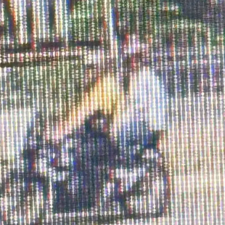 Wanita India Dijambret di Menteng, Polisi Bekuk NJ dan Buru Rekannya