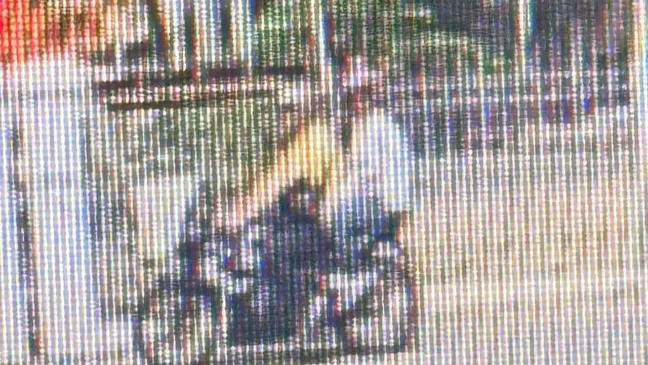 Wanita India Dijambret di Menteng, Polisi Bekuk NJ dan Buru Rekannya
